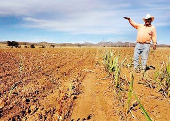 Abandonan a su suerte a productores del campo