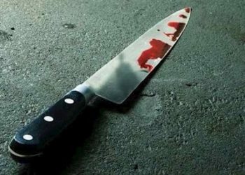 Niño de 9 años apuñala a hermana en EU