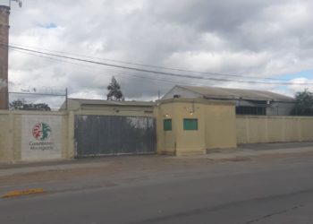 Escasea cerveza en San Fernando; revelan causa