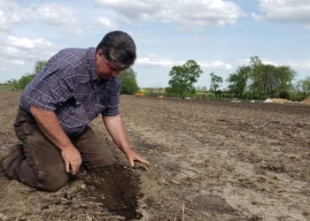 Confirman desaparición del Seguro Catastrófico