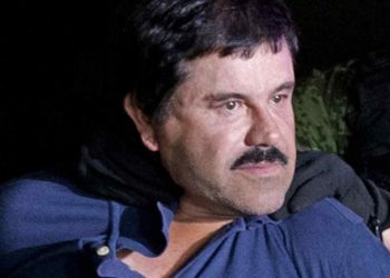 Libres pieza claves de juicio contra “El Chapo”