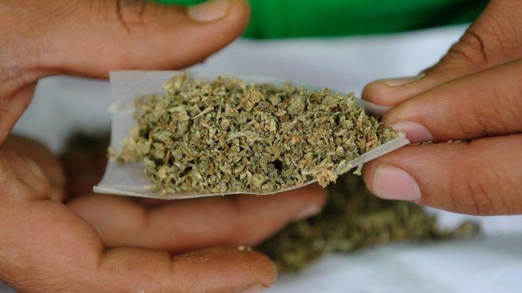 Podrían legalizar marihuana en Tamaulipas