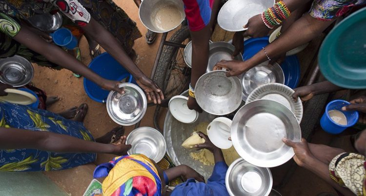 Amenaza crisis alimentaria mundial