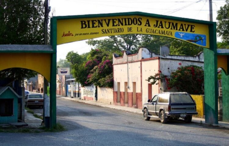 Por eso la gente no cree en el COVID; Regidora hace quinceañera en plena pandemia