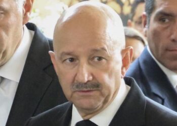 Hasta Salinas de Gortari salpicado en caso Lozoya