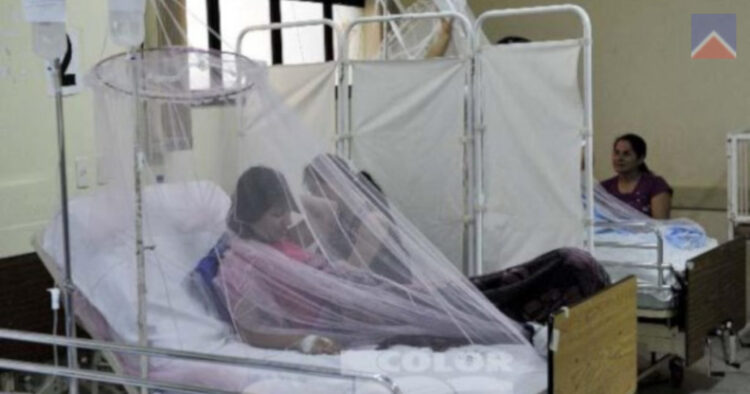 Suman 800 enfermos del dengue