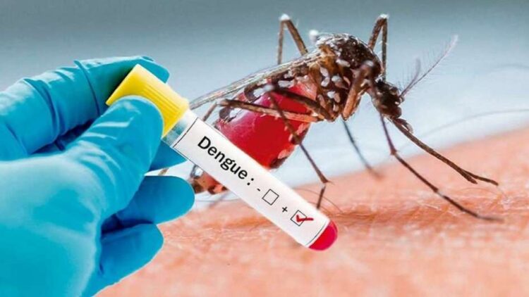 Tamaulipas supera los mil 600 casos del dengue; San Fernando registra apenas 19