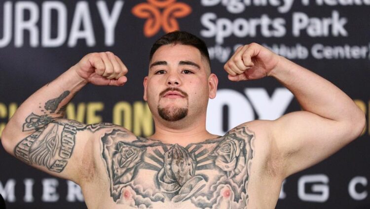 Ya está listo y en forma para regresar al ring