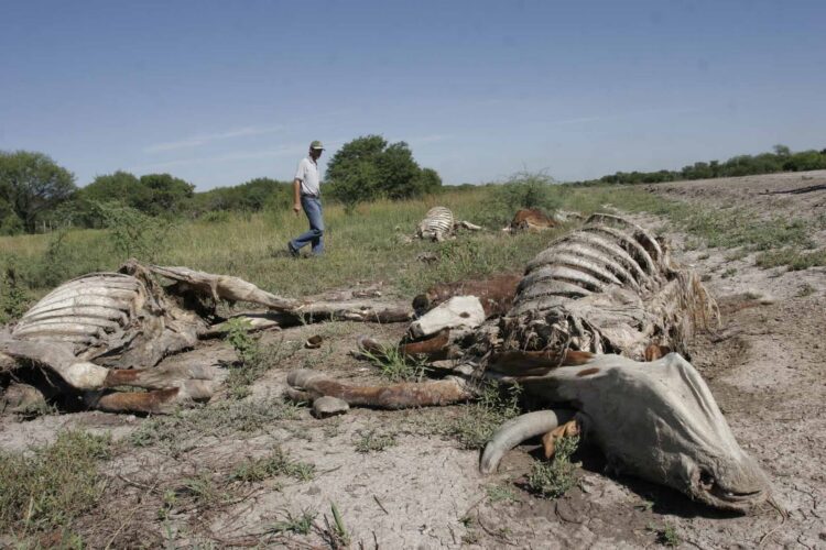 Alerta en México; Sequía en el 75% del país