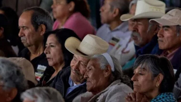 Publican requisitos para nuevo ingreso al 65 y Más