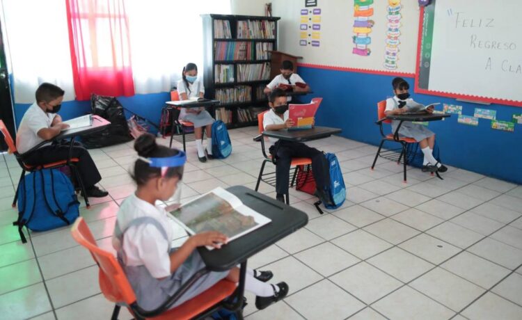 Confirma AMLO que regreso a clases será en agosto