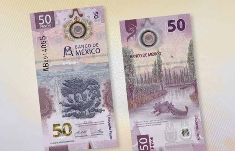 Llega nuevo billete de 50 pesos; se va Morelos