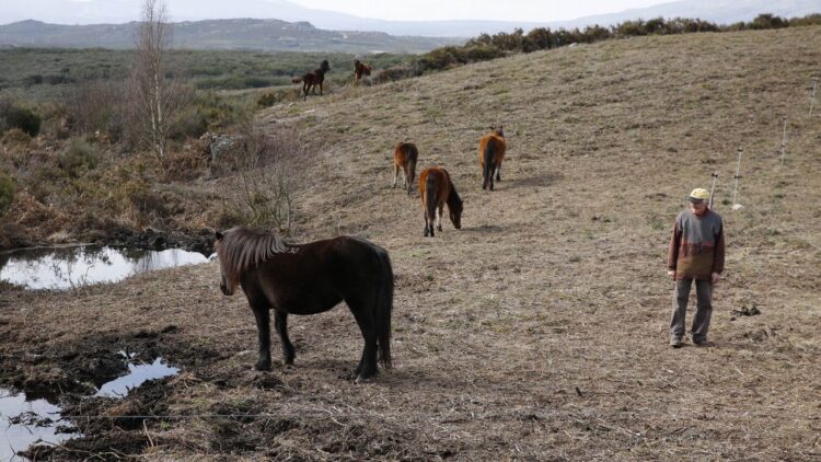 La erosión sigue avanzando en superficies agrícolas de San Fernando