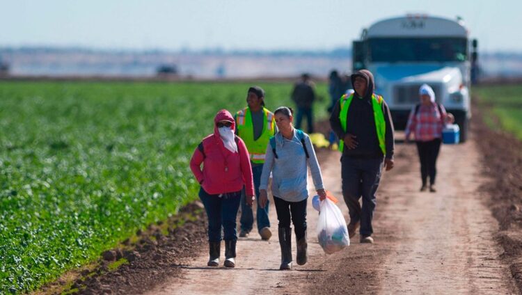AMLO presiona para regularizar a millones de mexicanos en EU; lanza enérgica advertencia