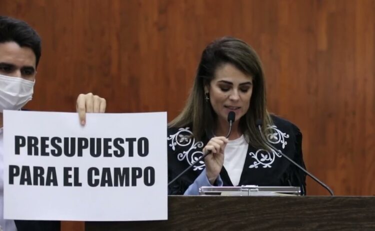 Diputada detecta 300 mil hectáreas agrícolas abandonadas por ausencia de apoyos