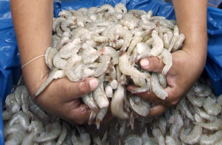 Inició la cuaresma, sin camarones de la laguna madre en San Fernando