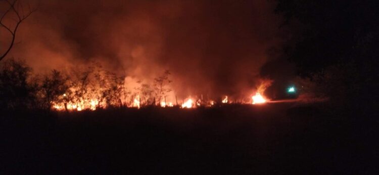Se multiplican incendios; tener más cuidado, pide Protección Civil