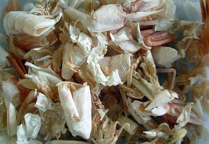 Sancionará Protección Civil a quienes tiren desechos de mariscos fuera del basurero