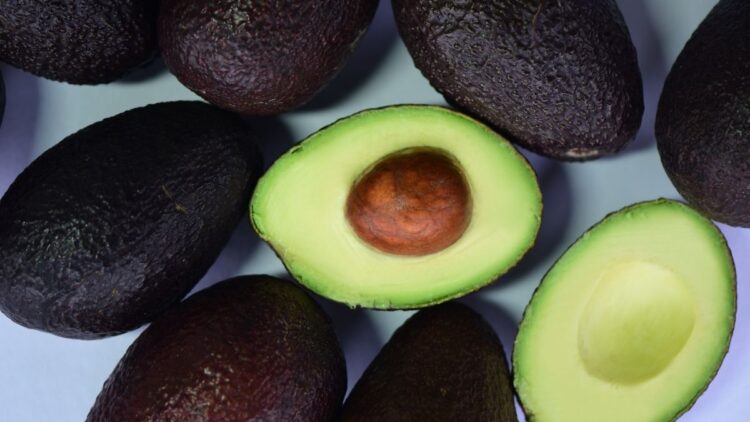 Precio del aguacate rompe propio record