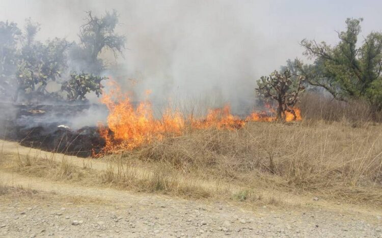 Aceleran fuertes vientos incendios en matorrales