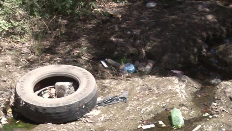 Llantas viejas son criaderos de zancudos