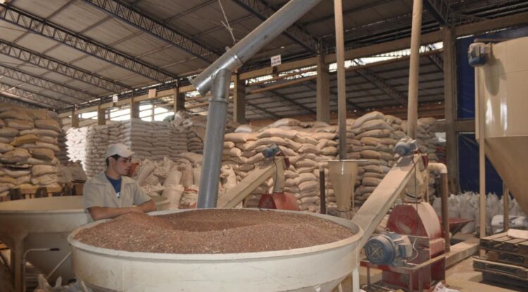 Agroindustrias, esenciales para el desarrollo económico de San Fernando
