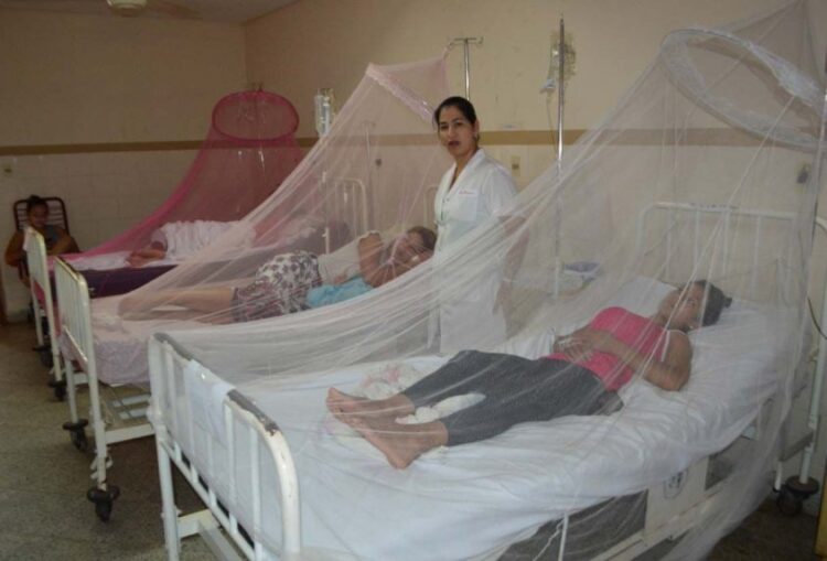 Ahora viene el dengue: suman 237 casos sospechosos