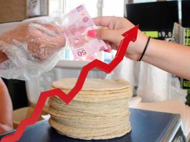 ¡Agárrese!… kilo de tortillas podría irse a los 30.00 pesos al cierre del 2022