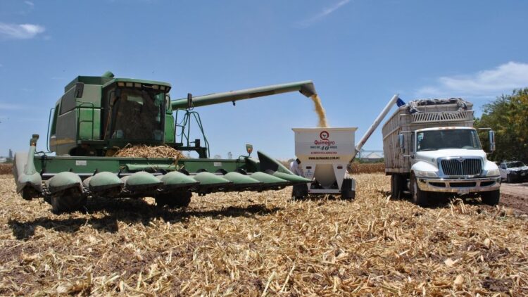 San Fernando es una fortaleza nacional en la producción de granos