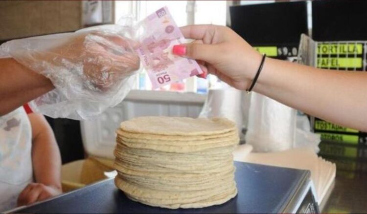 ¡Se fue a 25.00 pesos el kilogramo de tortillas en San Fernando!