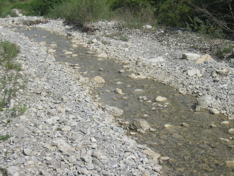 El rio “Conchos” se está secando; urgen lluvias en la región