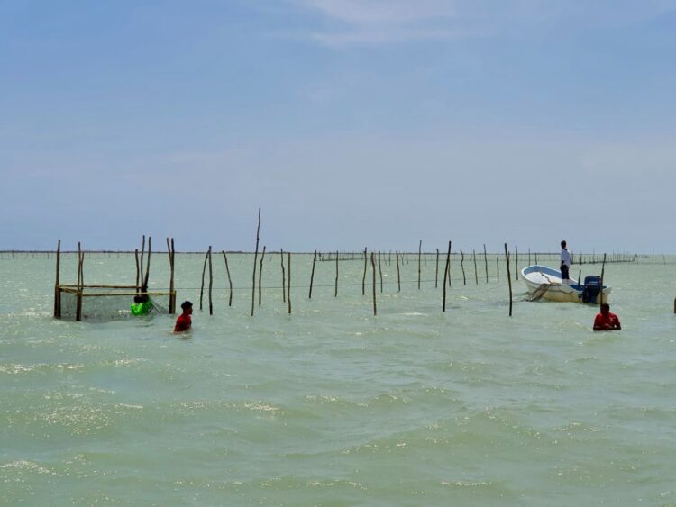 Confían pescadores que en el otoño mejore captura de pescados y mariscos