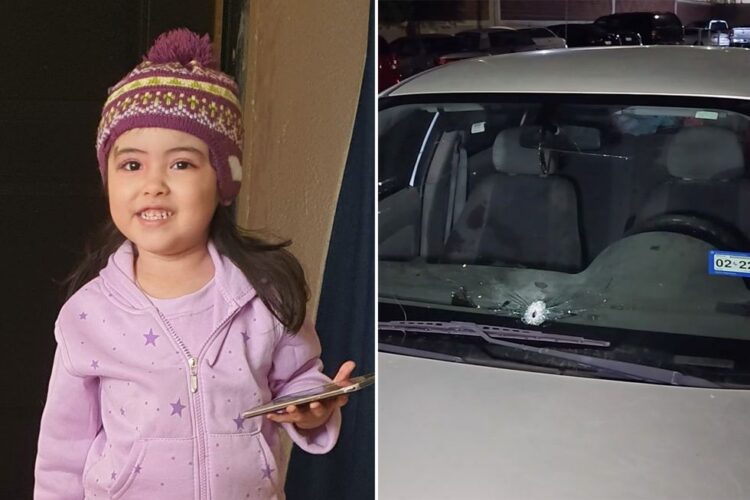 Muere niña de 5 años en fuego cruzado en Tamaulipas; Presidente anuncia castigo