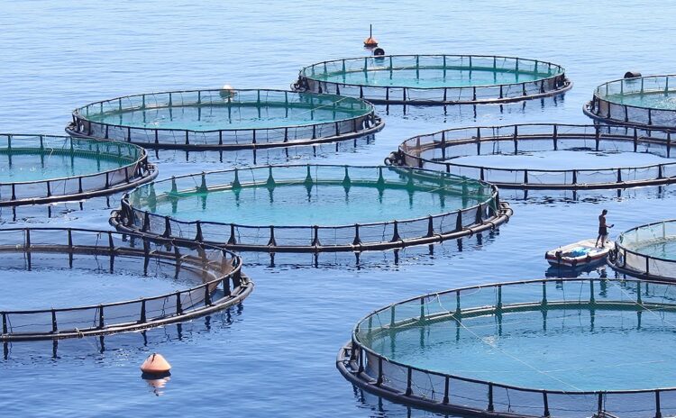Confían pescadores lagunarios de San Fernando que con AVA tendrán apoyo