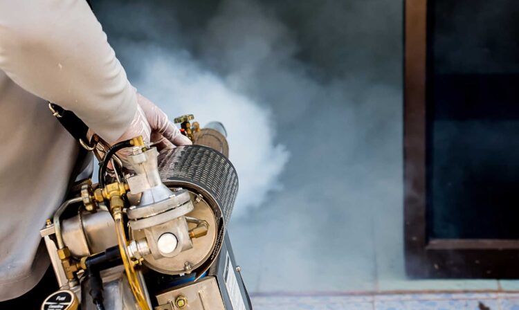 Fumigaciones urgentes exigen se necesitan en áreas urbanas y rurales de San Fernando