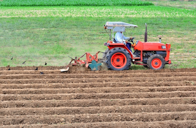 A TAMBOR BATIENTE/ LAS ORGANIZACIONES DEL CAMPO