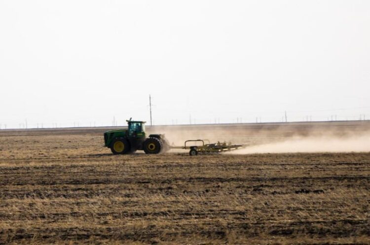 Sembrarán 260 mil hectáreas de sorgo en “El Valle de San Fernando”
