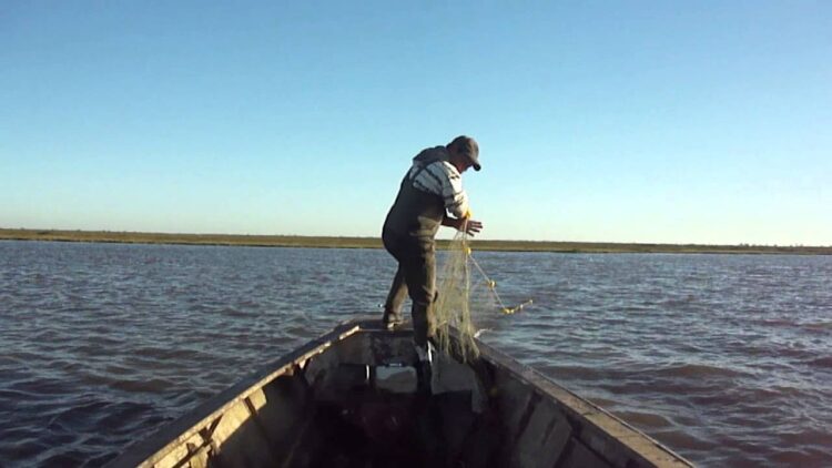 Esperan pescadores mejore economía con captura de especies de escama, al salir veda
