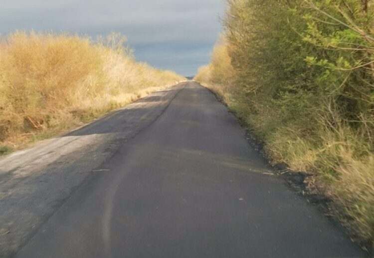 Piden limpiar de maleza alta carretera que comunica con Nuevo León