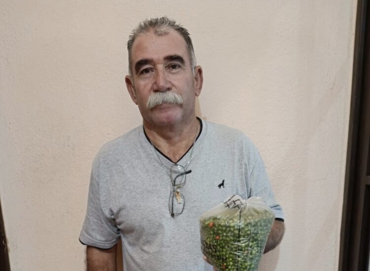 En su apogeo la producción de chile del monte en región de San Fernando