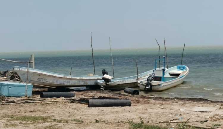Pescadores están “hasta el gorro” de vedas en la laguna madre