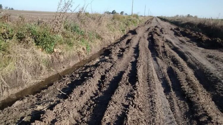 Requiere mantenimiento red de caminos rurales; están en muy mal estado
