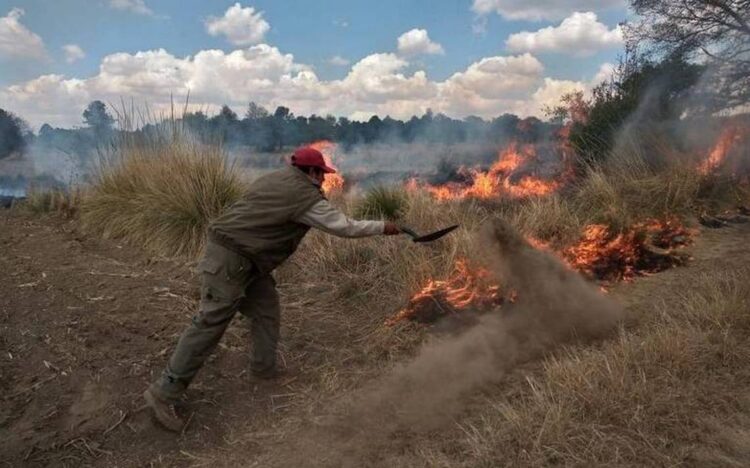 Fuertes vientos intensifican propagación de incendios; más trabajo para los bomberos