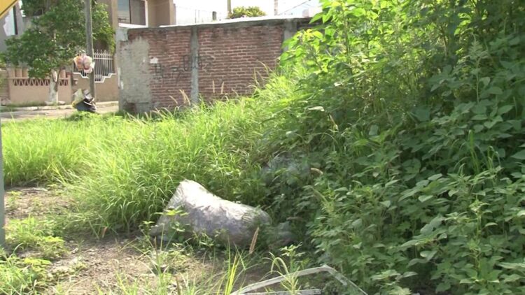 Apatía ciudadana por limpiar terrenos daña el rostro urbano de San Fernando