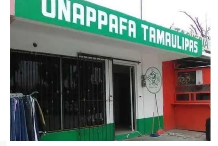 ONAPAFA líder en asesoría de trámites éxitos de regularización vehicular