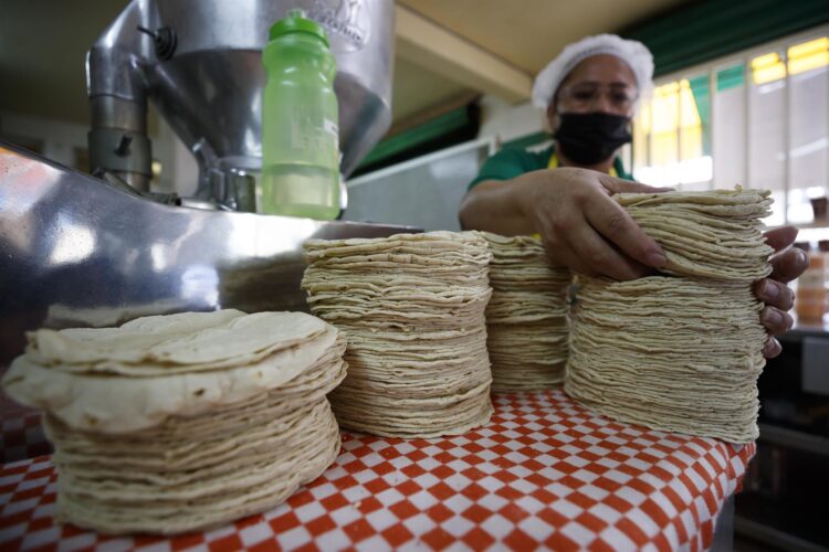 Kilo de tortillas podría llegar a los 30 pesos en febrero, adelantan