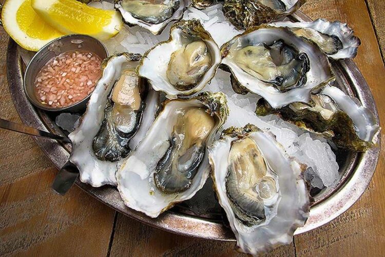 Los ostiones abundan en la laguna madre y son deliciosos, pero… ¡cuidado!