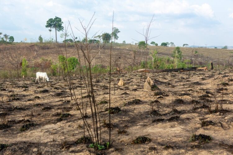 El panorama del campo es desalentador: Griselda Dávila