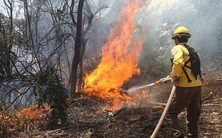 Hay que denunciar a quienes causan incendios piden autoridades  