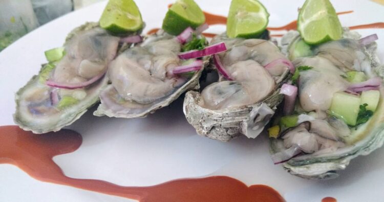 Autoridades sanitarias recomiendan no comer mariscos crudos